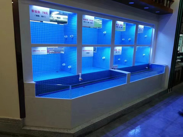 海鲜池  海鲜鱼缸  酒店鱼缸