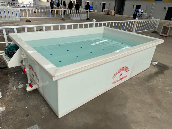 暂养池视频